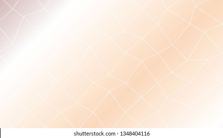 Decorative background with polygonal mesh . Template for your banner. Vector illustration. Creative gradient color
