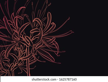 Decorative background with red spider lily (Lycoris radiata). Invitation or card template design. Vector. svg
