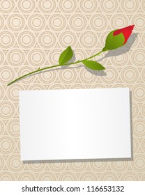 Decorative background with rose flower and  message card.