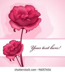 Decorative background with roses, vector illustration. Raster version available in my portfolio