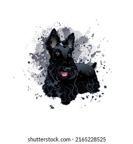 Decorative background with Scottish Terrier and splashes. Card template design. Vector illustration.