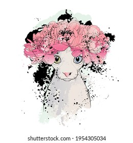 Decorative background with sphynx cat (head) and peony flowers. Card template design. Vector illustration.