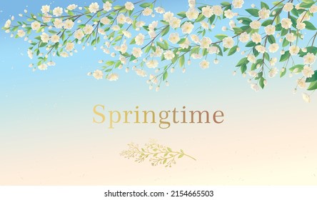 Decorative background of spring theme, with a flowering branch of a fruit tree, with white flowers. Vector illustration.