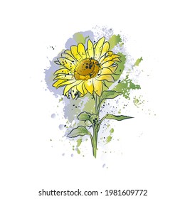 Decorative background with sunflower. Card template design. Vector illustration.