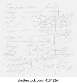 Fondo decorativo con texto y plantas