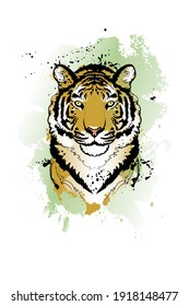 Decorative background with tiger (head). Card template design. Vector illustration.