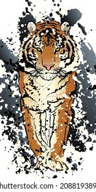 Fondo decorativo con tigre y salpicaduras. Diseño de plantilla de tarjeta. Ilustración vectorial.