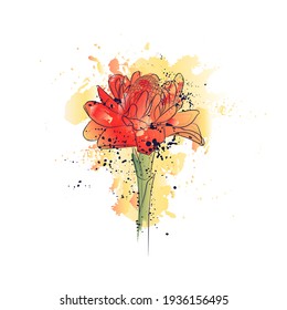 Decorative background with torch ginger flower. Card template design. Vector illustration.