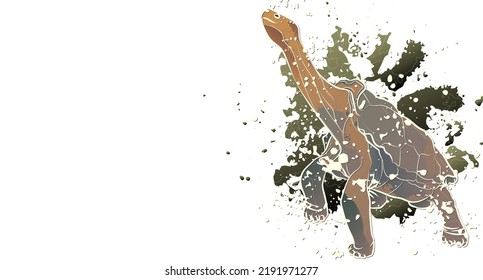 Decorative background with Galápagos tortoise and splashes. Card template design. Vector illustration.