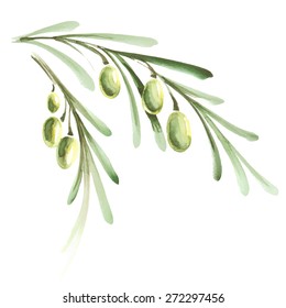 Decorative background with watercolor branches of olive tree
