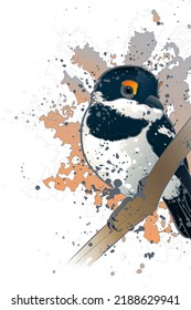 Decorative background with wattle-eye on branch. Card template design. Vector illustration.