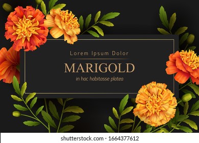 Decorative background with yellow and orange marigolds flowers. Vector illustration