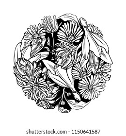 Decorative ball of flowers. Vector. Illustration of flowers. Style engraving. One color. Round composition. Flowers hosts and daisies.