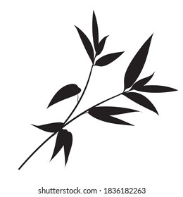 Decorative bamboo branches isolated on white background