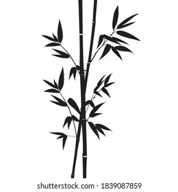 Ramas de bambú decorativas aisladas sobre fondo blanco