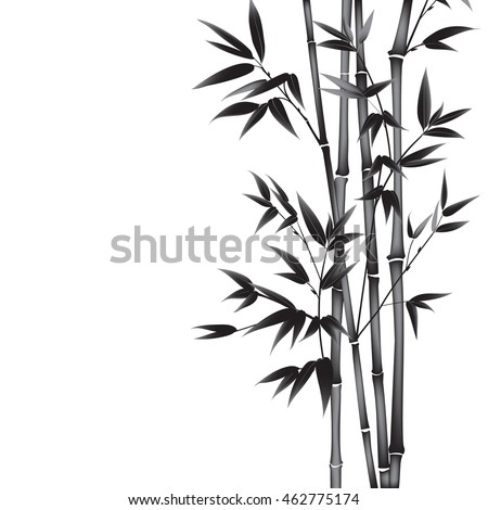 Decorative bamboo branches isolated on white background.