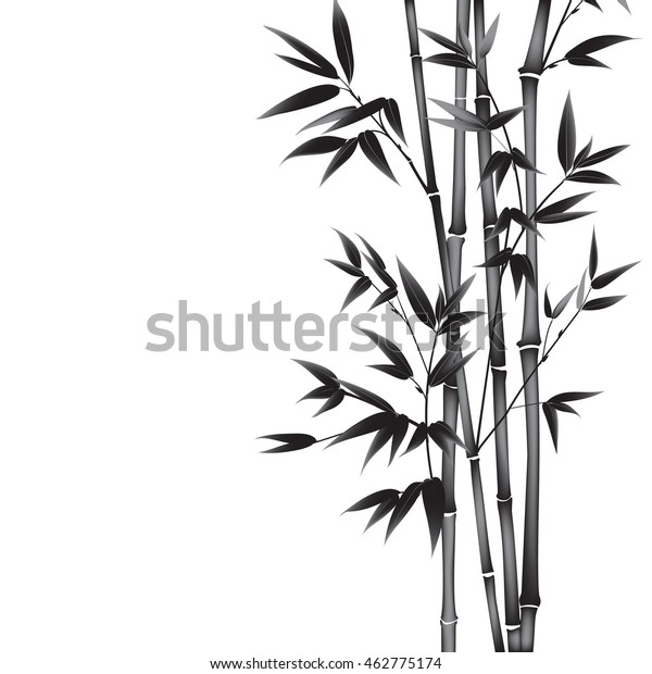 Decorative\
bamboo branches isolated on white\
background.
