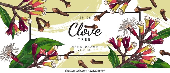 Decorative banner with hand drawn colorful clove spices sketch style, vector illustration. Clove tree flowers and leaves, natural organic plant, aromatic condiment