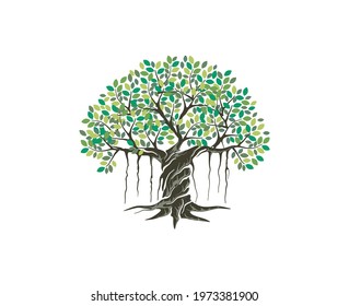 Decorative banyan tree with hand drawn style, vector isolated on white
