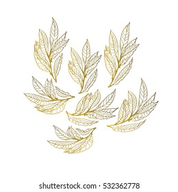 decorative bay leaf on a white background, vector illustration