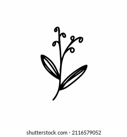 Decorative beauty elegant illustration for design hand drawn flower