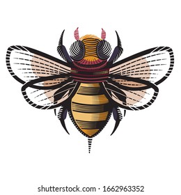 decorative bee painted with patterns for logo, label, packaging, tattoo, isolated object on a white background,
