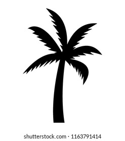 
A decorative beech tree
