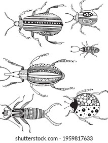 Decorative beetles, graphics on a white background. The illustration has been translated into vector format.