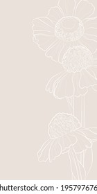 Decorative beige background with flowers (Helenium). Card template design. Vector illustration.