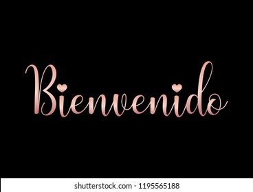 Decorative "Bienvenido" Text with Heart Icon, Black and Pink Design