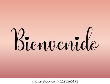 Decorative "Bienvenido" Text with Heart Icon, Black and Pink Design