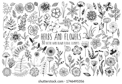 Decorative big set of floral elements. 80 hand drawn doodle sketch of blooming flowers, branches, berries, leaves with patterns. Vector for greeting card, wedding invitation, children's coloring book