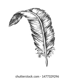 Decorative Bird Element Feather Vintage Vector. Standing Feather Cover Exterior Flyer Body Detail Writer Ancient Ink Tool. Template Designed In Retro Style Black And White Illustration