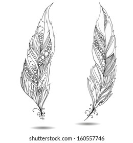 Decorative bird feather.
