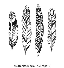 decorative bird feathers with ornaments, vector illustration, black and white ornamental feathers