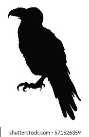Decorative bird. Rook. Black and white drawing. Tattoo. Silhouette of a crow. Circuit birds