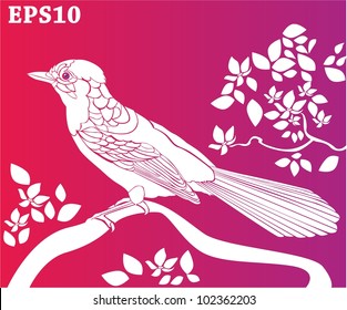 Decorative bird  silhouette