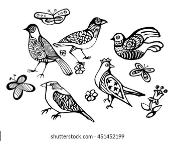 Decorative birds. Set birds. Vector illustration. Hand drawn bird for your design.