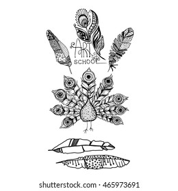 Decorative black line art doodle style tribal feathers and peacock