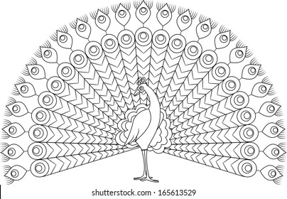 Decorative black and white contour illustration and vector 