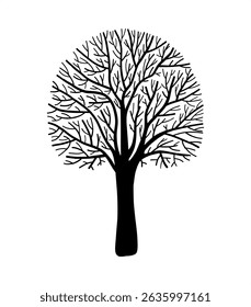 Decorative black and white leafless botany design element, hand drawn bare silhouette fairy forest tree, outdoor autumn or winter isolated clip art for fabric, Halloween, wood graphic line art