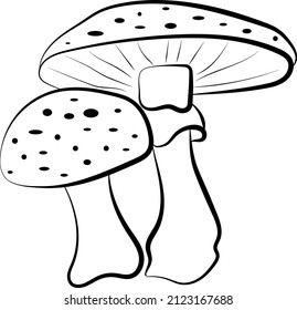 decorative black and white mushroom illustration