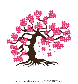 decorative blossoming cherry sakura tree vector illustration