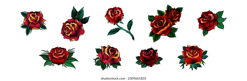 Decorative Blown Red Roses with Petal and Leaves Vector Set