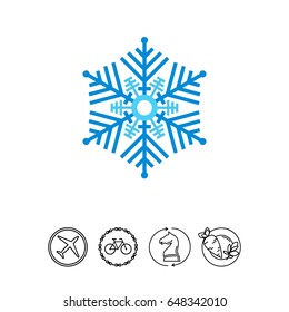 Decorative Blue Snowflake Icon