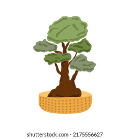 Decorative bonsai tree in a flower pot, domestic plant vector illustration, Japanese traditional culture element in simple flat style
