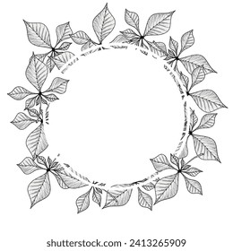 A decorative border of branches is highlighted on a white background. A pattern of leaves. Vector illustration. For nature, eco and design. Hand-drawn plants, a frame for a postcard.
