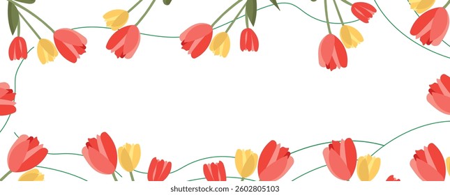 Decorative border or frame of red and yellow tulips on a white background create a fresh and elegant floral design element