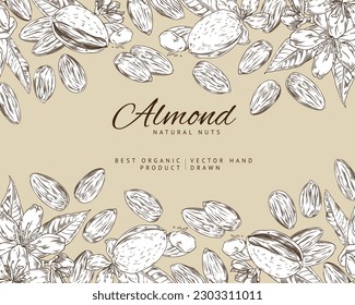 Decorative border with hand drawn monochrome almond nuts, leaves and flowers sketch style, vector illustration on light background. Outline, natural organic product, tasty food