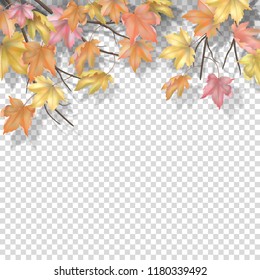 Decorative border with maple branches and autumn leaves on a transparent background. Vector fall illustration